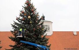 Jarmark Bożonarodzeniowy w Staszowie (14.12.2025 r.) 126