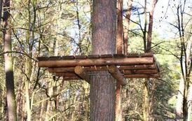 Dzieje się w Golejowie! (27.03.2026 r.) 14