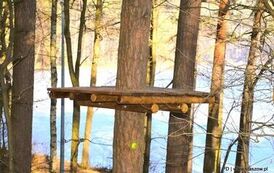 Dzieje się w Golejowie! (27.03.2026 r.) 15