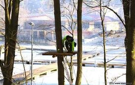 Dzieje się w Golejowie! (27.03.2026 r.) 17