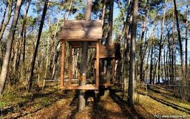 Dzieje się w Golejowie! (27.03.2026 r.) 20