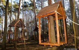 Dzieje się w Golejowie! (27.03.2026 r.) 21