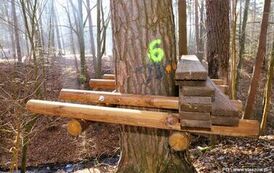 Dzieje się w Golejowie! (27.03.2026 r.) 24