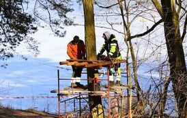Dzieje się w Golejowie! (27.03.2026 r.) 25
