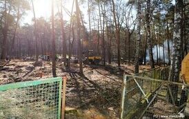 Dzieje się w Golejowie! (27.03.2026 r.) 31