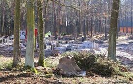 Dzieje się w Golejowie! (27.03.2026 r.) 32