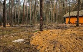 Golej&oacute;w zmienia się z dnia na dzień (05.03.2026 r.) 6