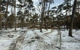 Golej&oacute;w zmienia się z dnia na dzień (05.03.2026 r.) 16