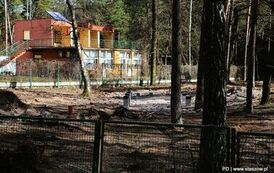 Golej&oacute;w zmienia się z dnia na dzień (05.03.2026 r.) 64