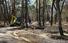 Golej&oacute;w zmienia się z dnia na dzień (05.03.2026 r.) 71