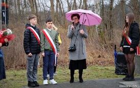 11-IMG_1184