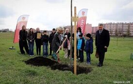 35-IMG_4016