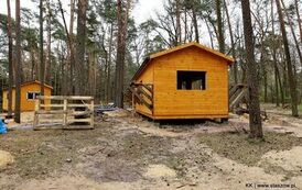 Golej&oacute;w w trakcie zmian - trwa II etap rewitalizacji (13.04.2026 r.) 46