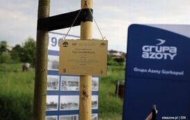 20-IMG_2407