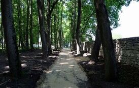 IMG_4503