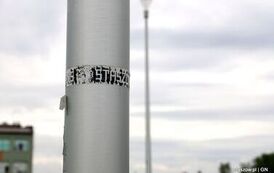 15-IMG_9591