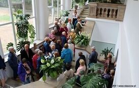 IMG_4781