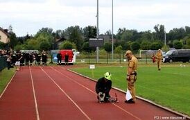 Zawody sportowo-pożarnicze jednostek OSP w Staszowie (02.08.20226 r.) 101