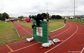 Zawody sportowo-pożarnicze jednostek OSP w Staszowie (02.08.20226 r.) 106