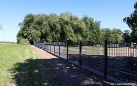 Zobacz postępy prac w zabytkowym parku w Wiśniowej 21