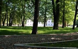 Zobacz postępy prac w zabytkowym parku w Wiśniowej 25