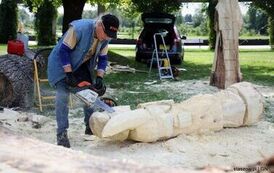 02-IMG_6982