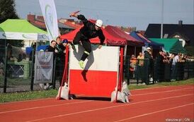 019-IMG_a0048