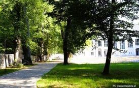 Zobacz postępy prac w zabytkowym parku w Wiśniowej (16.09.2026 r.) 49