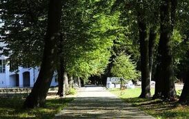 Zobacz postępy prac w zabytkowym parku w Wiśniowej (16.09.2026 r.) 59