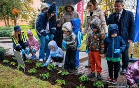 Podsumowanie projektu Zielona Społeczność Staszowa (22.10.2026 r.) 10