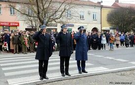 Narodowe Święto Niepodległości (11.11.2024 r.) 35