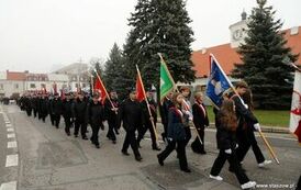 Narodowe Święto Niepodległości (11.11.2024 r.) 66