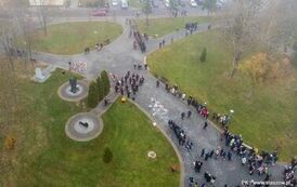 Narodowe Święto Niepodległości (11.11.2024 r.) 141