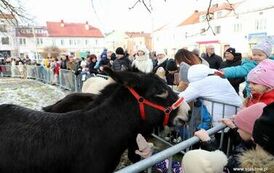 Orszak Trzech Kr&oacute;l (06.01.2025 r.) 68