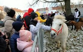 Orszak Trzech Kr&oacute;l (06.01.2025 r.) 70