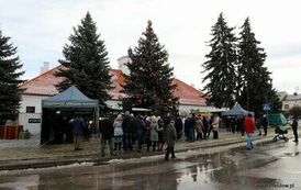 Orszak Trzech Kr&oacute;l (06.01.2025 r.) 101