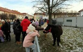 Orszak Trzech Kr&oacute;l (06.01.2025 r.) 103