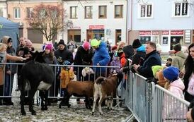 Orszak Trzech Kr&oacute;l (06.01.2025 r.) 104