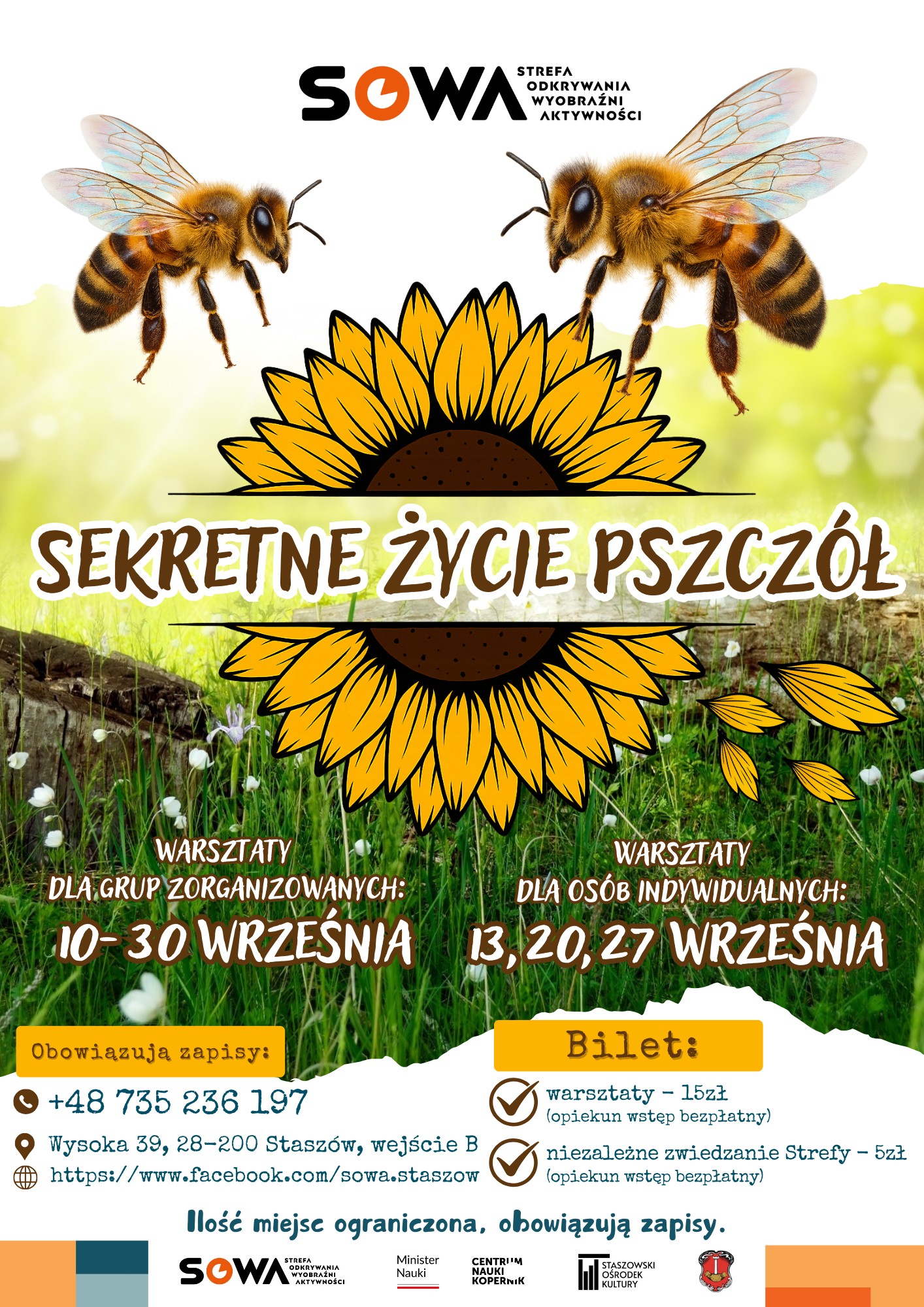 plakat