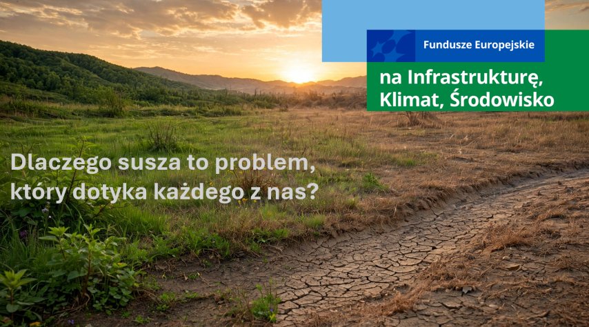 Grafika: Dlaczego susza to problem, kt&oacute;ry dotyka każdego z&nbsp;nas? 
