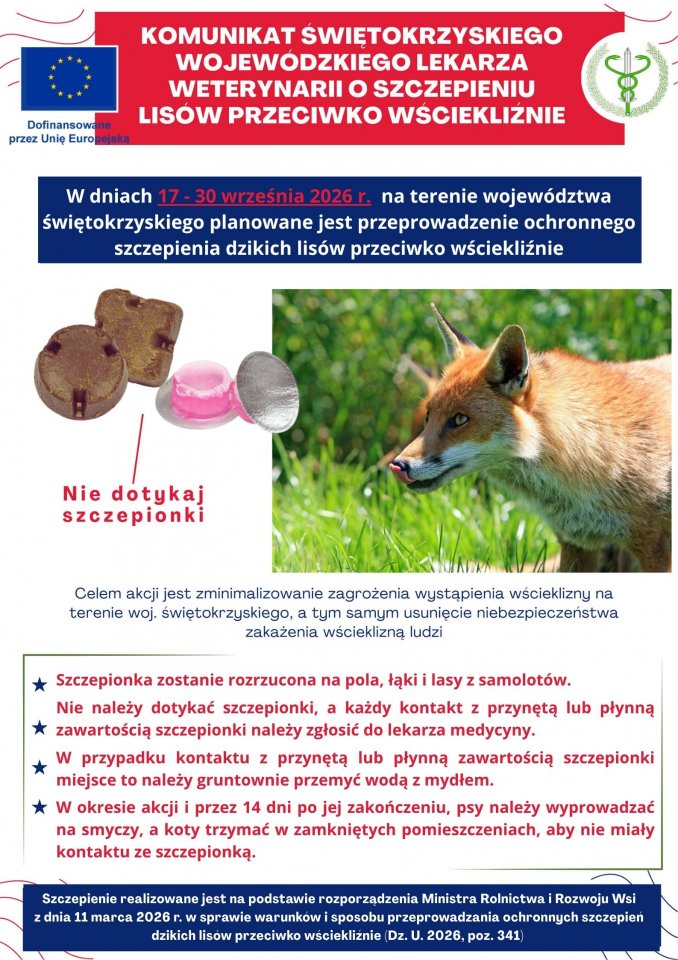 Plakat: Komunikat Świętokrzyskiego Wojew&oacute;dzkiego Lekarza Weterynarii o&nbsp;szczepieniu lis&oacute;w przeciwko wściekliźnie