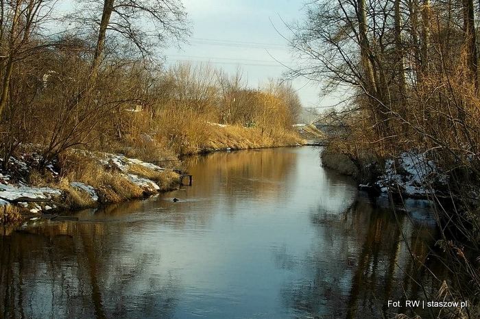 Czarna Staszowska w okolicach Zalewu nad Czarną