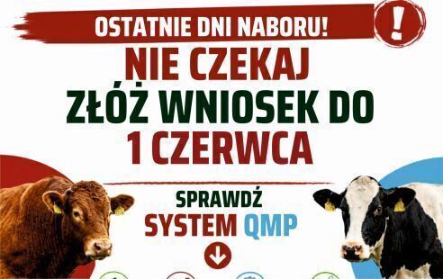 Zdjęcie do Ekoschemat &bdquo;Dobrostan zwierząt&rdquo;. Dodatkowe pieniądze dla hodowc&oacute;w z QMP &ndash; tylko do 1 czerwca!
