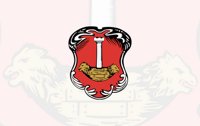 Zdjęcie do OGŁOSZENIE -  oferta na&nbsp;realizację zadania &bdquo;Integracja środowisk lokalnych w&nbsp;gminie Stasz&oacute;w poprzez podjęcie działań profilaktyczno społecznych &ndash; EKO FESTYN &ndash; razem dla zdrowej i&nbsp;aktywnej społeczności"