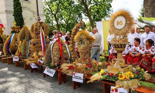 Zdjęcie do Dożynki powiatowe w Bogorii