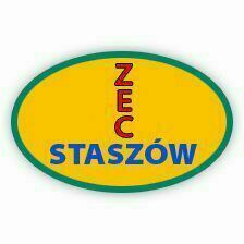 Logo: ZEC
