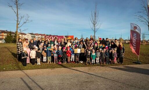 Podsumowanie akcji „Aleja 500-lecia Staszowa” – 67 drzew dla miasta