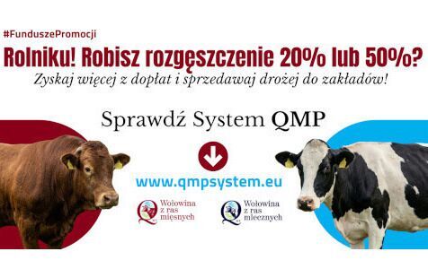 Zdjęcie do Ekoschemat &bdquo;Dobrostan zwierząt&rdquo; - dodatkowe pieniądze dla hodowc&oacute;w z QMP 
