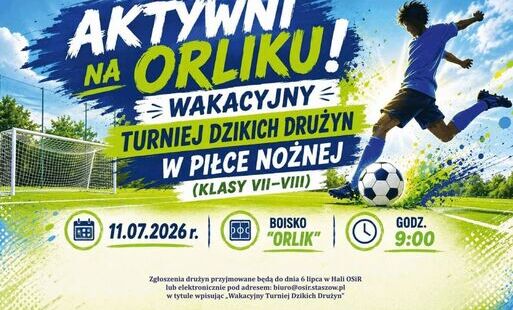 Zdjęcie do Wakacyjny Turniej Dzikich Drużyn