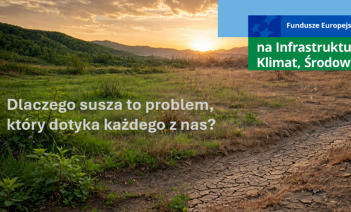 Dlaczego susza to problem, który dotyka każdego z nas? 